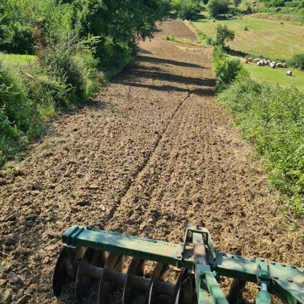 azienda-agricola-taurino-arnara-territorio (9)